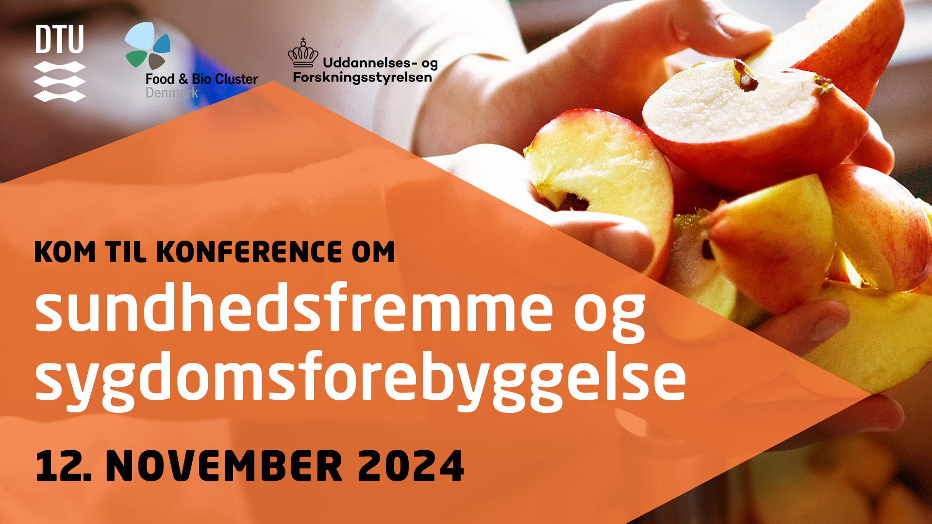 Logodæk institutkonference 2024 om sundhedsfremme og sygdomsforebyggelse DK