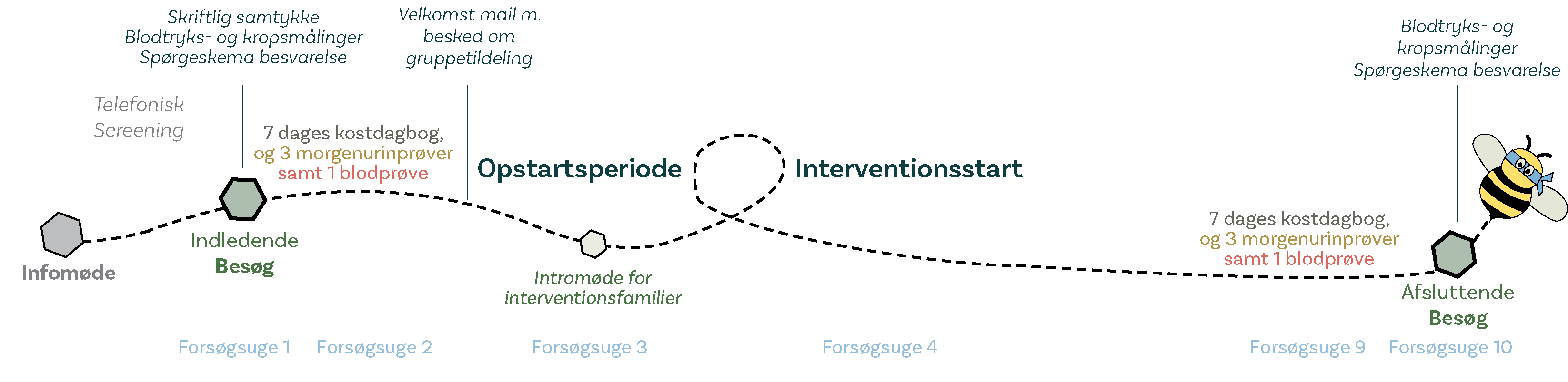 Forsøgets tidslinje ©DTU OnePlate Tidslinje